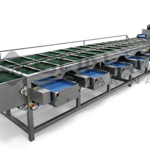 50 Sıra Zeytin Kalibre Makinası