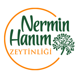 Nermin Hanım