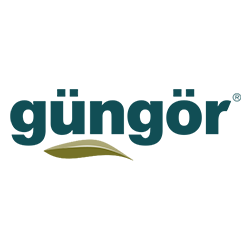 Güngör