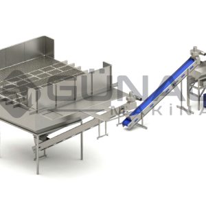 Zeytin Boxlama ve Temizleme Ünitesi 30,000 Kg/Saat